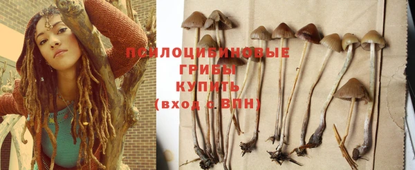 эйфоретик Абаза