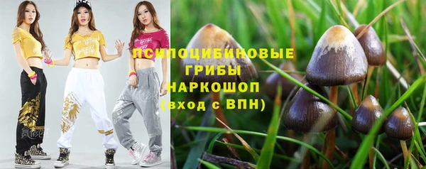 МДПВ Абдулино