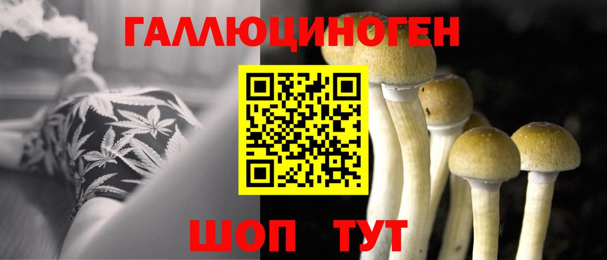 Галлюциногенные грибы Cubensis  Вход с VPN  Урус-Мартан 